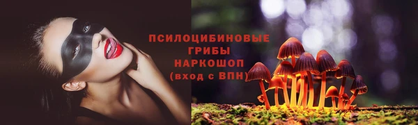 mix Арсеньев