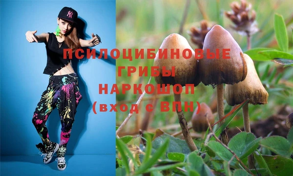 эйфоретик Аркадак