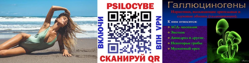Псилоцибиновые грибы мицелий  где найти наркотики  Боготол 
