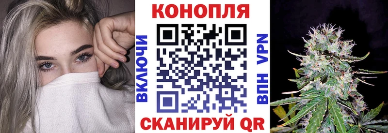 что такое Боготол Каннабис конопля